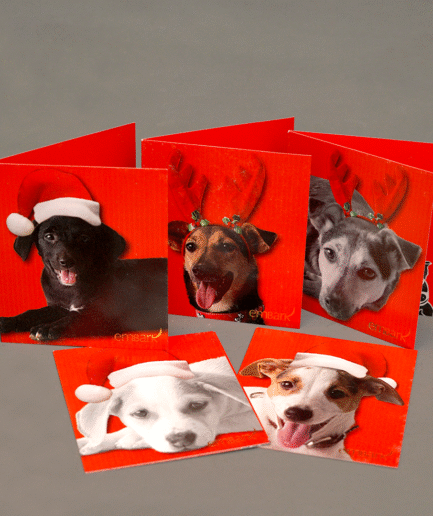 Embark Greeting Card - 5 pack X'Mas