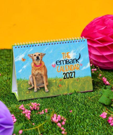 The Embark Calendar 2027
