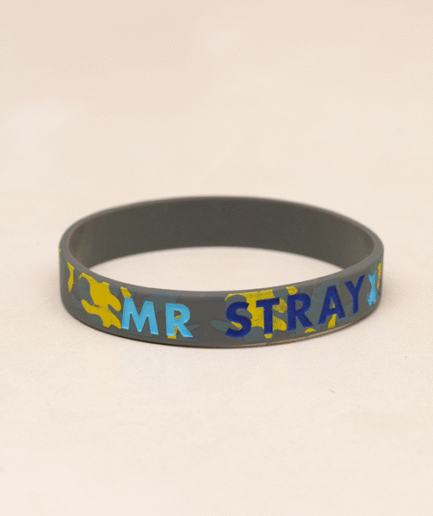 Mr Stray Embark Wristband