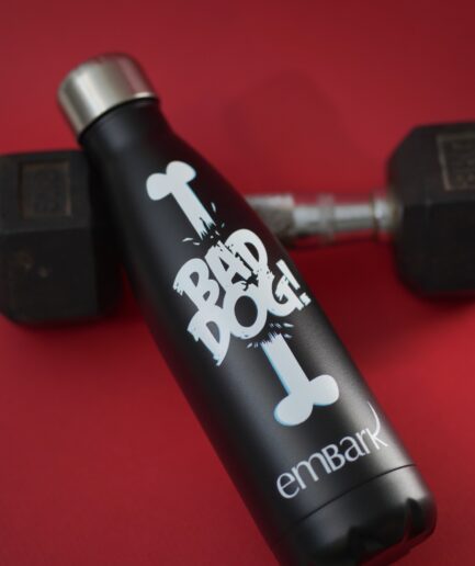 Embark Water Bottle