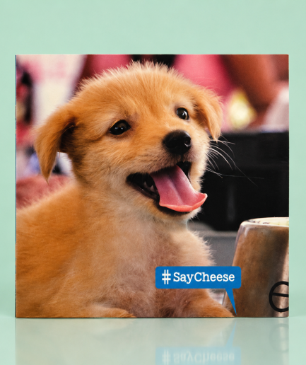 Embark Greeting Card – Embark