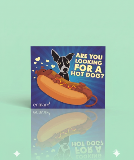 Embark Greeting Card – Are You Looking for a Hot Dog?