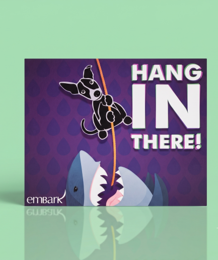 Embark Greeting Card – Hang in There