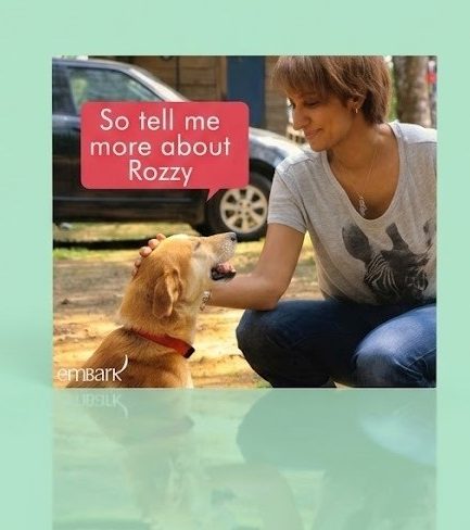 Embark Greeting Card – So Tell Me About Rozzy